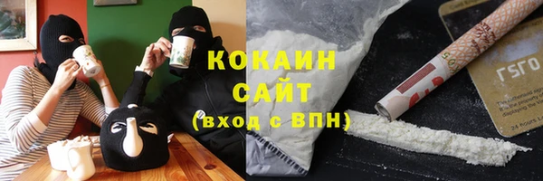 шишки Аркадак
