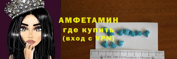 шишки Аркадак