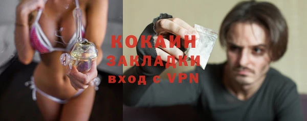 шишки Аркадак
