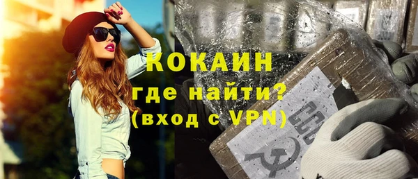 шишки Аркадак