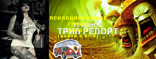 шишки Аркадак