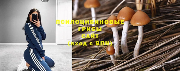 шишки Аркадак